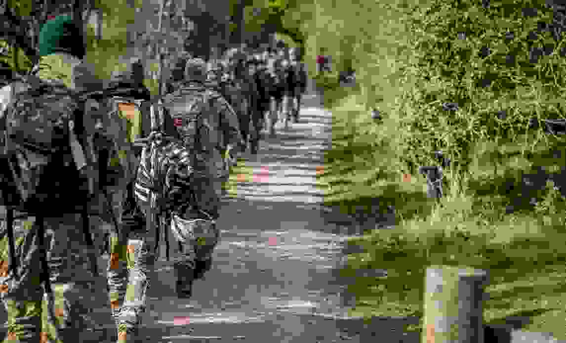 Soldater der marcherer 
