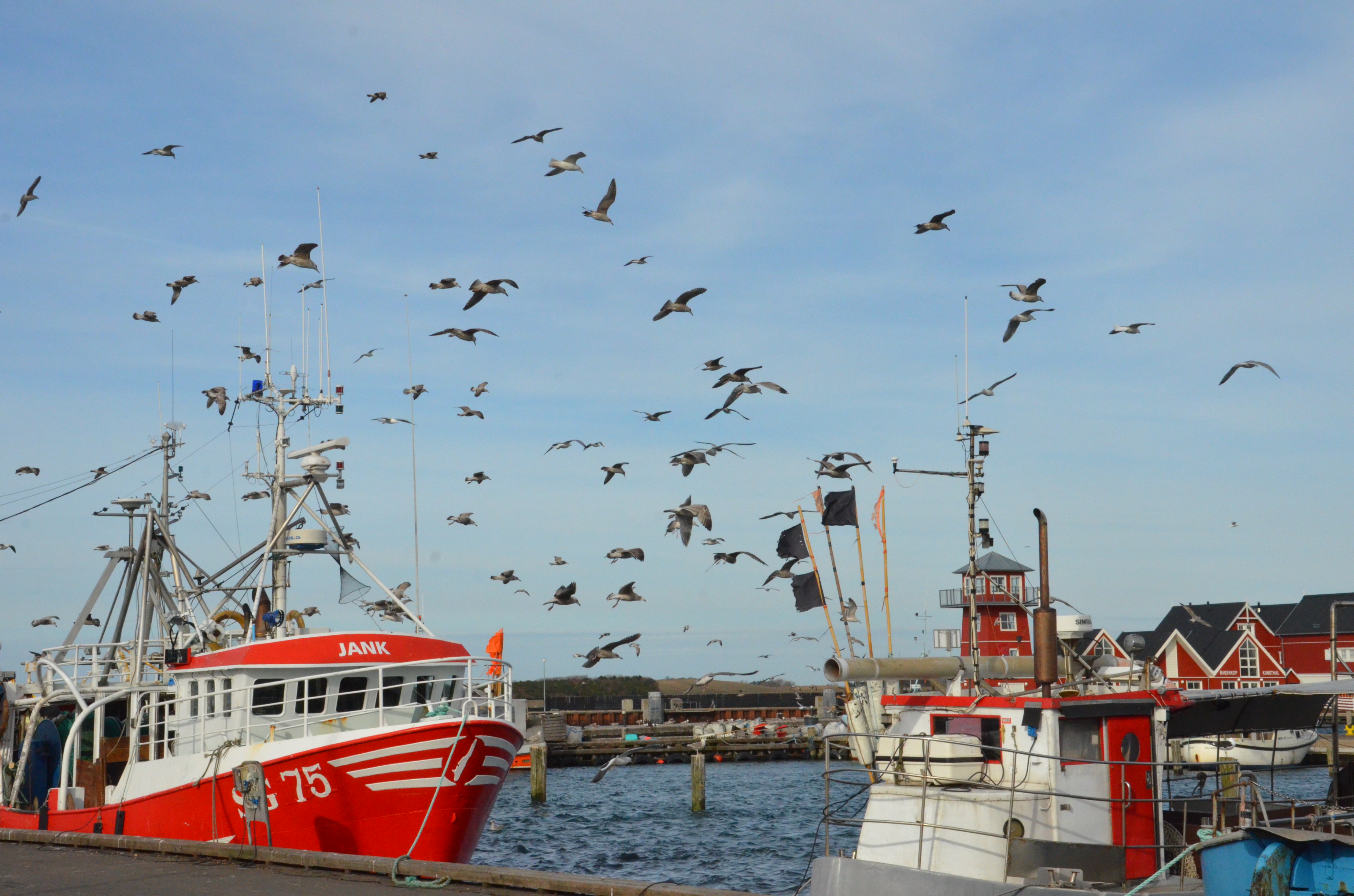 Trawler i havn